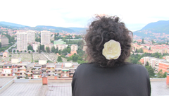 Ur filmen Skärvor av Sara Broos, 2024