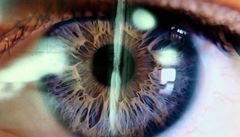 Ur filmen Skärvor av Sara Broos, 2024