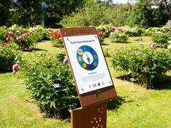 Kalle Hamm, Colour Theory by Plants, 2026. Photo Hendrik Zeitler