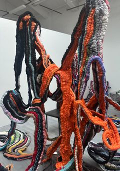 Textilkonstverk av Sampson Addae från 2025, med flätade, färgglada tentakelliknande strukturer.