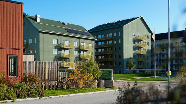 Syrénbersån i Ultuna Trädgårdsstad