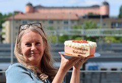 Malmegårds fastigheter - tårta