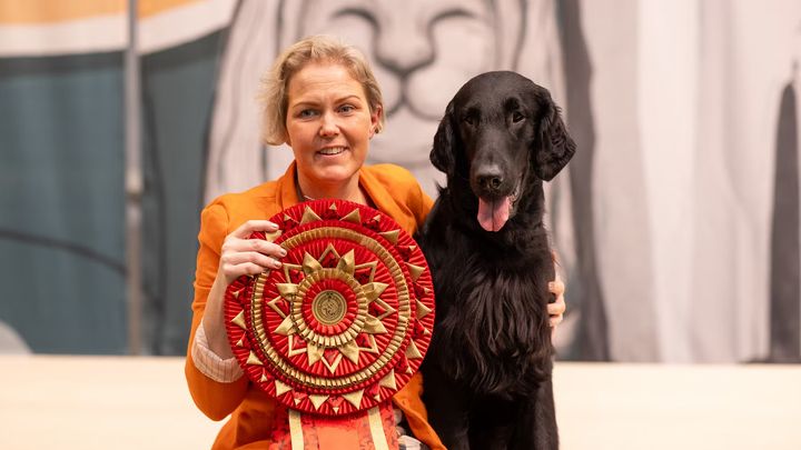Flatcoated retrievern Kråkan från Dalarna vinner titeln Årets utställningshund 2025, här med matte Jenny Andersson efter vinsten på Stockholm Hundmässa. Foto: Jenny Jurnelius