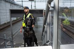 Fanny är Årets Narkotikasökhund 2025 Foto André de Loisted