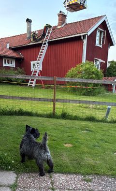 Hasse tittar på branden Foto Pillan Klebo