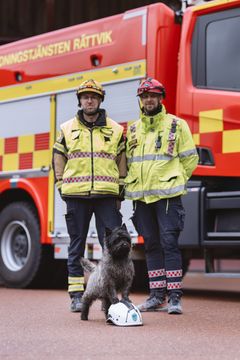 Årets BragdHund 2025.Fotograf Jessica Olsén Eriksson