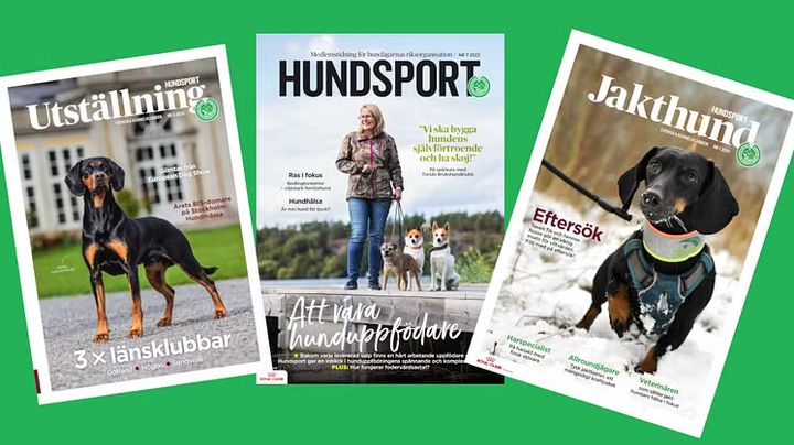 Tre olika upplagor av tidningen Hundsport, d v s den ordinarie samt utställnings- och jaktbilagorna