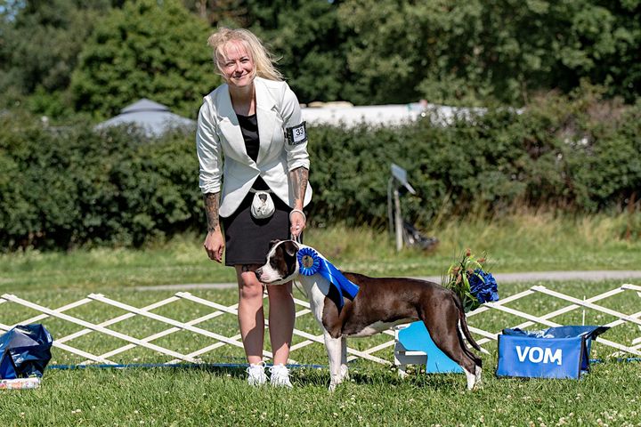 En american staffordshire terrier som vunnit pris på utställning med sin handler