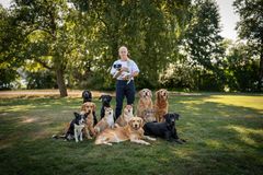 Svenska Kennelklubbens generalsekreterare Susanne Jidesten omgiven av en mängd hundar.