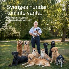 SKKs Valkompass 2026. Sveriges hundar kan inte vänta.