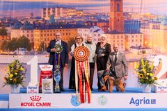 Best in Show på European Dog Show 2026 lakelandterrier Nordlicht Von Den Schönen Bergen bland annat med domaren Annika Ulltveit-Moe. Foto: Jenny Jurnelius.