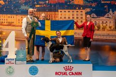 Svenska Stella Näslin blev fyra i juniorhandlingfinalen på EDS 2026.