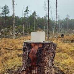 Apex Boost i skogsmiljö