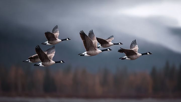 Försörjningskrav 2026: Allt Du Behöver Veta Om Uppehållstillstånd i Sverige