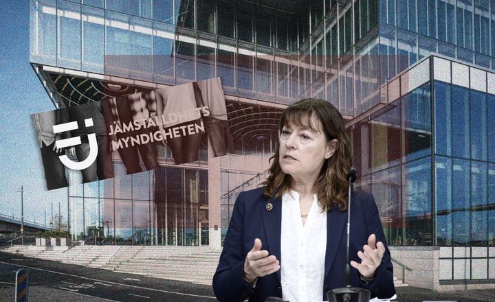 Jämställdhetsmyndighetens generaldirektör Lise Tamm. Bild: Axel Narving TT, Ottar (bilden är ett montage)