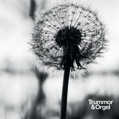 Graceful-degradation