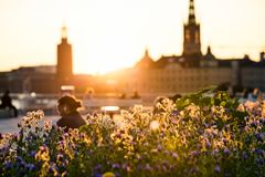 Slussen, White Arkitekter