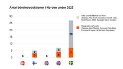 Nordic IPO Watch 2025