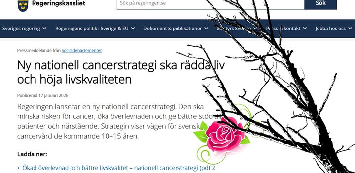 Montage på skärmdump från regeringens webbplats av Blodcancerförbundet