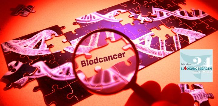 Av de cirka 200 kända och dokumenterade cancerdiagnoserna är över hälften blodcancerdiagnoser. Blodcancerförbundet instiftar från och med 2025 en årlig fokusdag på blodcancerdiagnoser och premiären för Blodcancerdagen blir den 24 september. Foto: Håkan Sjunnesson