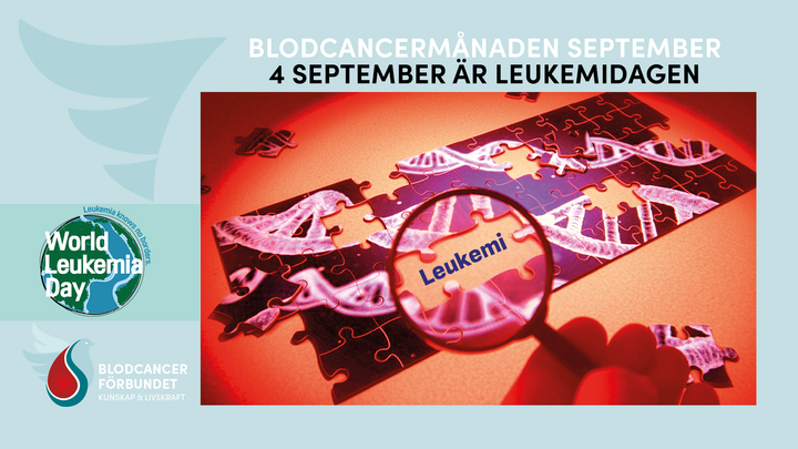 Alt text: Bild med text och illustrationer om Leukemidagen den 4 september, med Blodcancerförbundets och World Leukemia Day-logotyper.