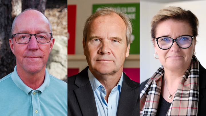 Tord Hermansson, ordförande Svenska Downföreningen, Anders Lago, ordförande Riksförbundet FUB och Camilla Rosenberg, ordförande Autism Sverige.