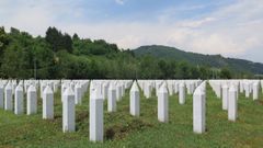 Begravningsplats och Minnesmonument för folkmordet i Srebrenica. Amnesty (https://www.amnesty.se/aktuellt/bosnien-och-hercegovina-30-ar-sedan-massakern-i-srebrenica/)