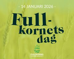 Ny årlig temadag - Fullkornets dag 14 januari