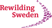 Rewilding Sweden