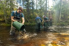 En grupp i gröna vadarbyxor tömmer grus i en flod