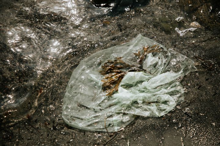 Plastpåse som ligger och skräpar i havet.