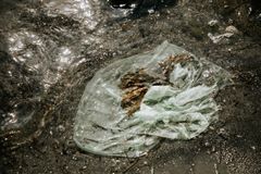 Plastpåse som ligger och skräpar i havet