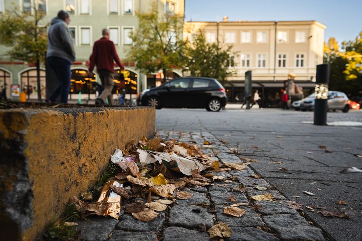 7 av 10 svenskar tycker det är rätt att plocka upp skräp efter andra. Foto: Håll Sverige Rent / Jonas Holmqvist