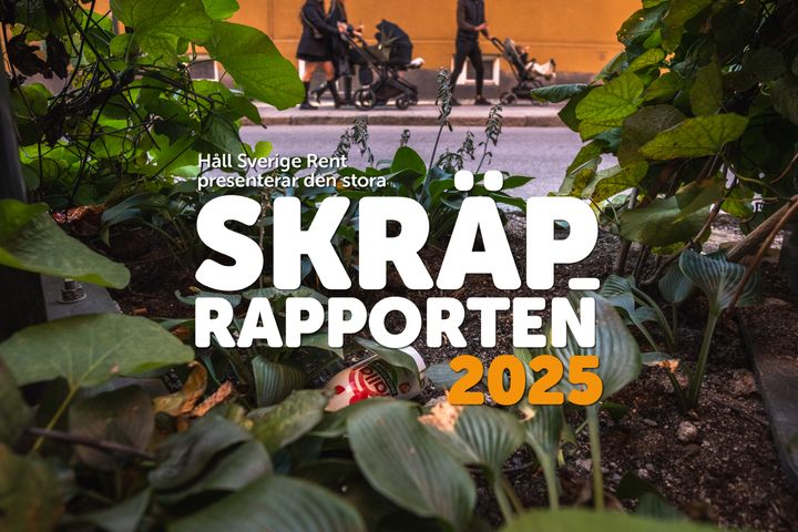 Idag släpper Håll Sverige Rent Skräprapporten 2025 - senaste nytt om skräpläget i Sverige.