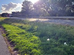 Skräp i diket intill en rastplats.