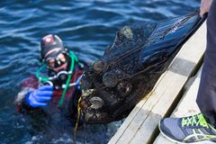 Tre ton skräp renasades bort från havs- och sjöbotten under årets Skräpdykskamp.