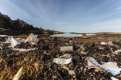 Nio av tio svenskar tycker att nedskräpningen måste minska, framför allt i havet.