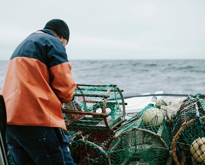 Varje år blir omkring 3 900 hummertinor kvar i djupet längs svenska västkusten.