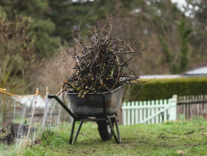 Att dumpa trädgårdsavfall i naturen kan räknas som nedskräpning och dessutom bidra till att invasiva växter sprids.