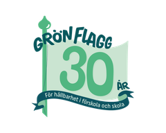 Grön Flagg firar 30 år i år.