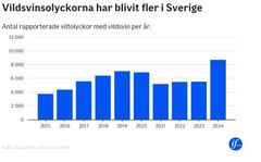 Källa: Nationella viltolycksrådet