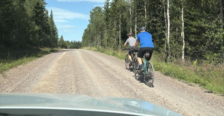 Enligt en ny undersökning från If har en majoritet av svenska bilförare någon gång kört om cyklister på ett osäkert sätt på landsväg.