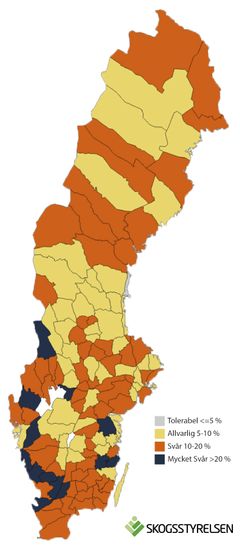 Kartan visr älgförvaltningsområden och hur de ligger till när det gäller mängden skador jämfört med målet på maximalt fem procent. Grafik: Skogsstyrelsen