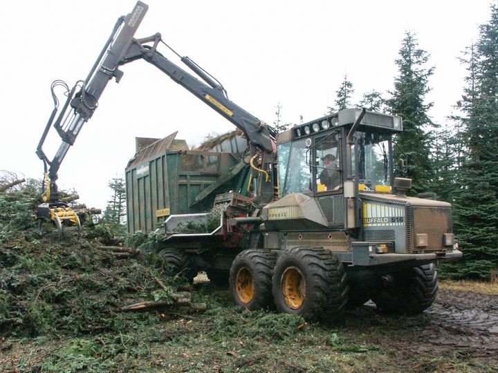 Skogsstyrelsen lägger nu fram en rad förslag för att biomassa från skogen ska klara EU:s nya förnybart-krav. Foto: Stefan Andersson (Bilden får användas fritt i samband med rapportering om den här nyheten.)