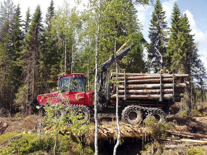 Med en stockbro kan man undvika skador på vatten när man passerar en bäck. Foto: Vanja Strand/Skogsstyrelsen