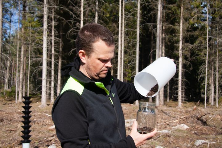 Nu startar Skogsstyrelsen en svärmningsövervakning av granbarkborren med hjälp av fällor i de områden som drabbats av stormen Johannes och Dave. Mattias Sparf, skogskonsulent på Skogsstyrelsen, arbetar med övervakningen. Foto: Skogsstyrelsen (Bilden är fri att använda i samband med rapportering om den här nyheten.)