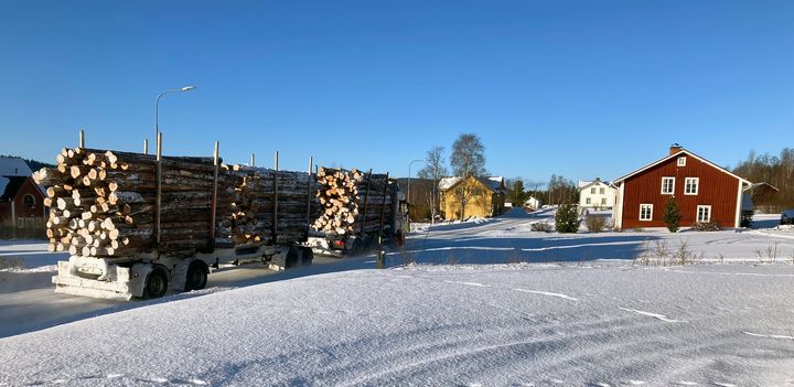 Timmerbil i Hällesjö i Jämtland