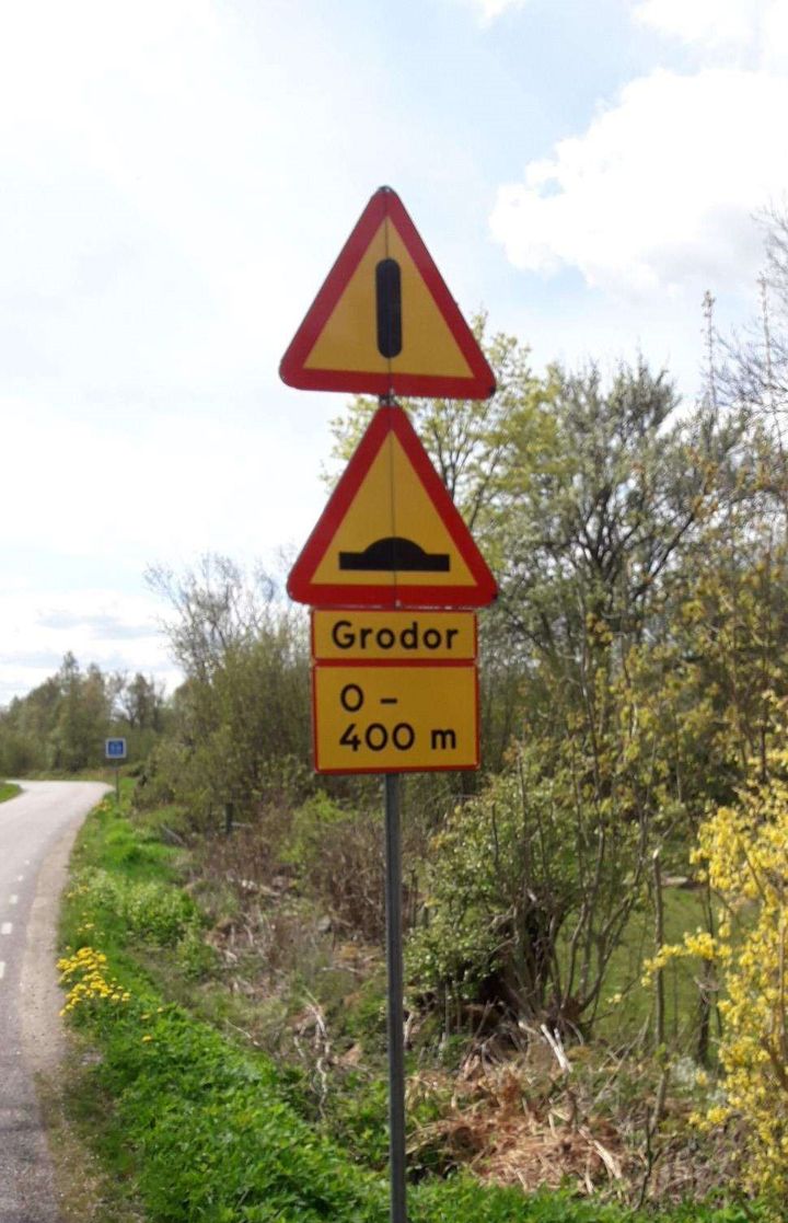 Varning för grodor på väg Foto Trafikverket