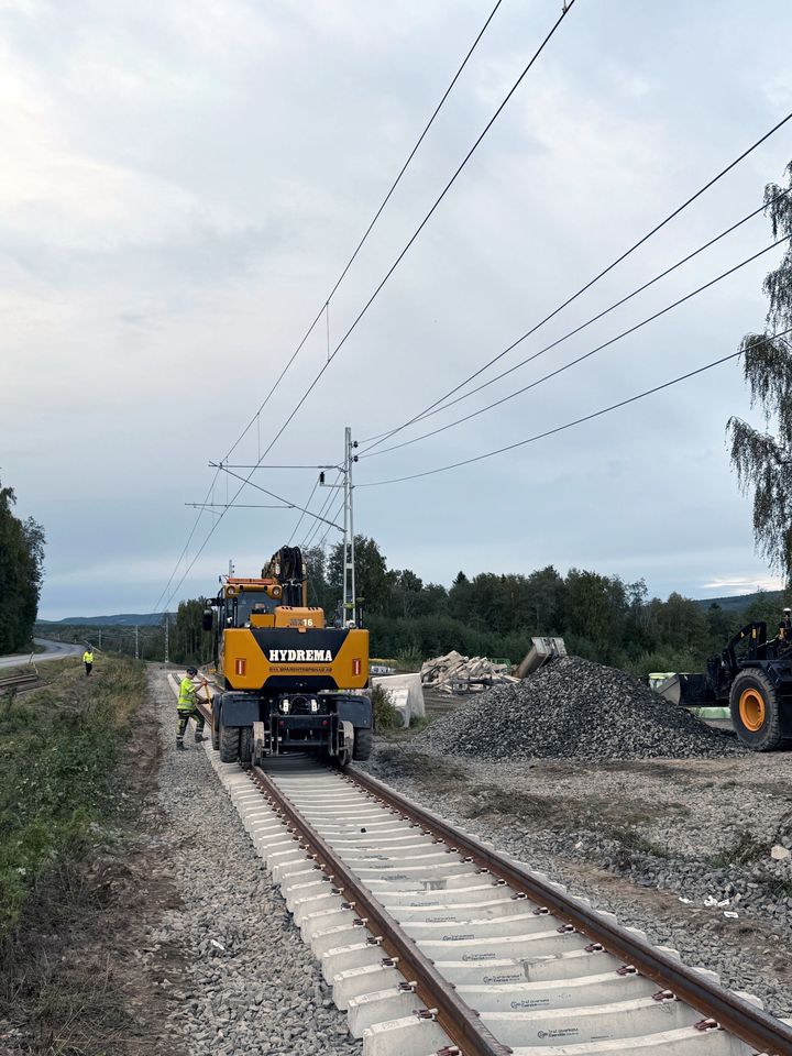 Återställningsarbete, Prästmon