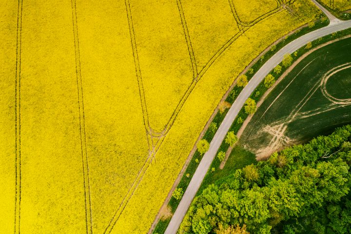 Med det nya planförslaget för  2026-2037 återtas det mångårigt eftersatta vägunderhållet, upprustningen av järnvägen fortsätter och stora och små investeringar utvecklar transportsystemet.